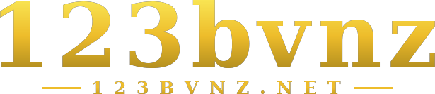 123bvnz logo